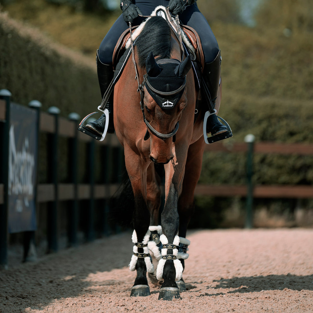 Veredus Carbon Gel Absolute Save the Sheep Rear Fetlock Boots image #4