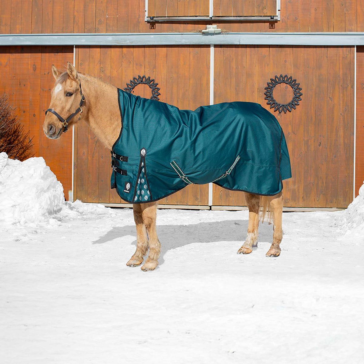 Equinavia Arktis Extended Neck Mid Weight Turnout Blanket 200g image #2