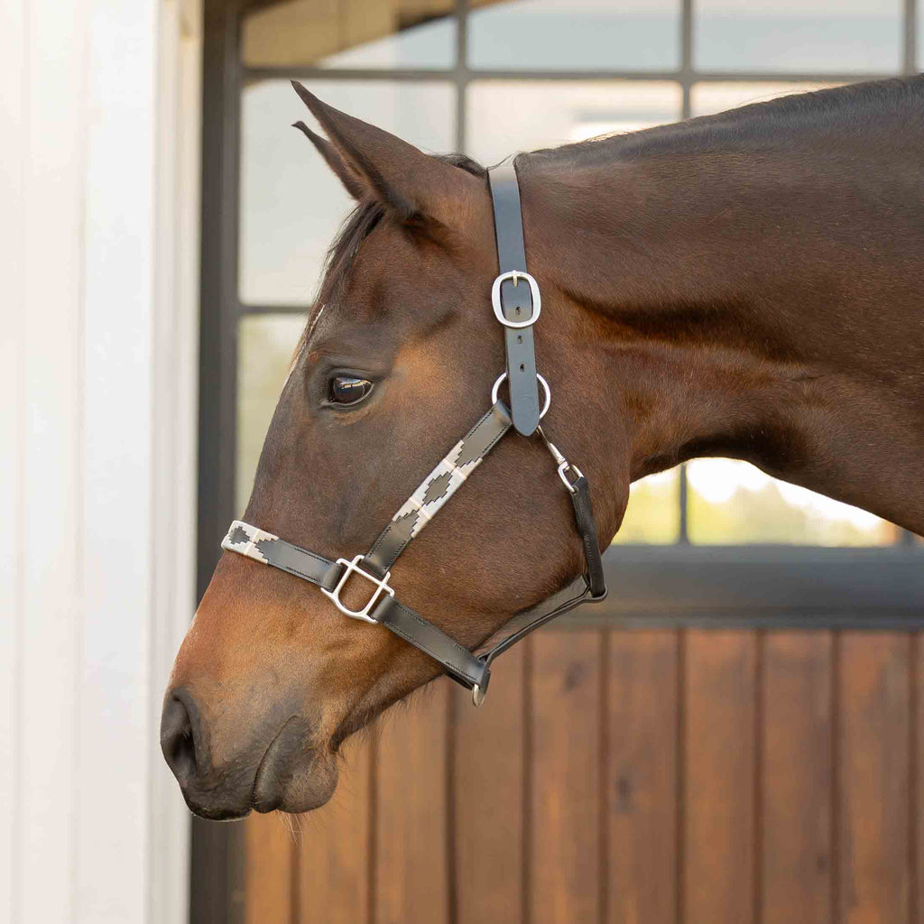 Equinavia Siri Polo Leather Halter image #2