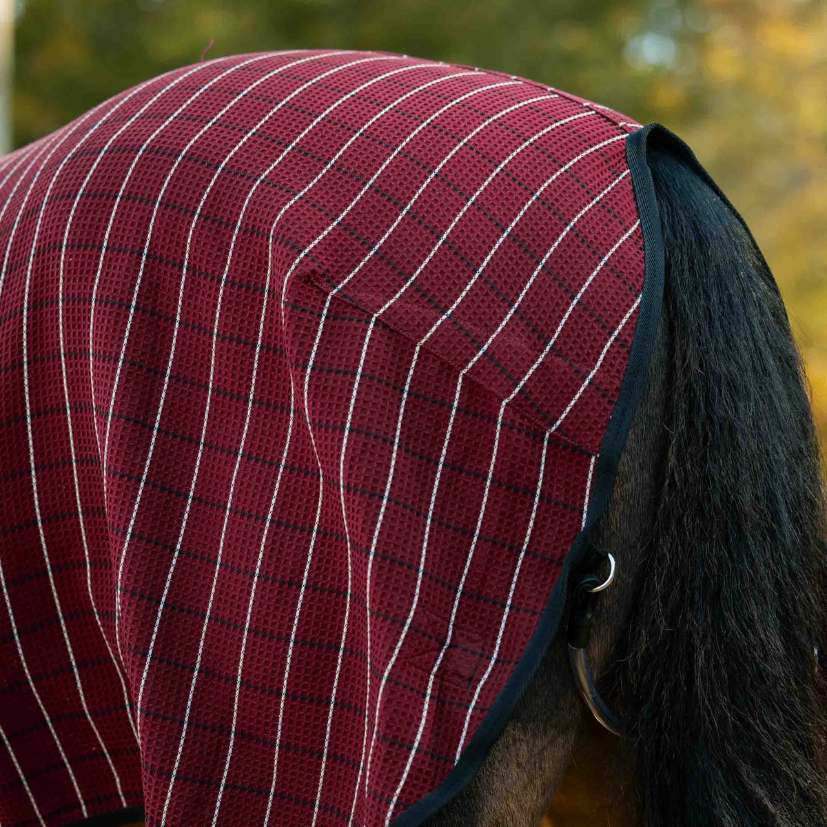Equinavia Luftig Waffle Cooler image #4