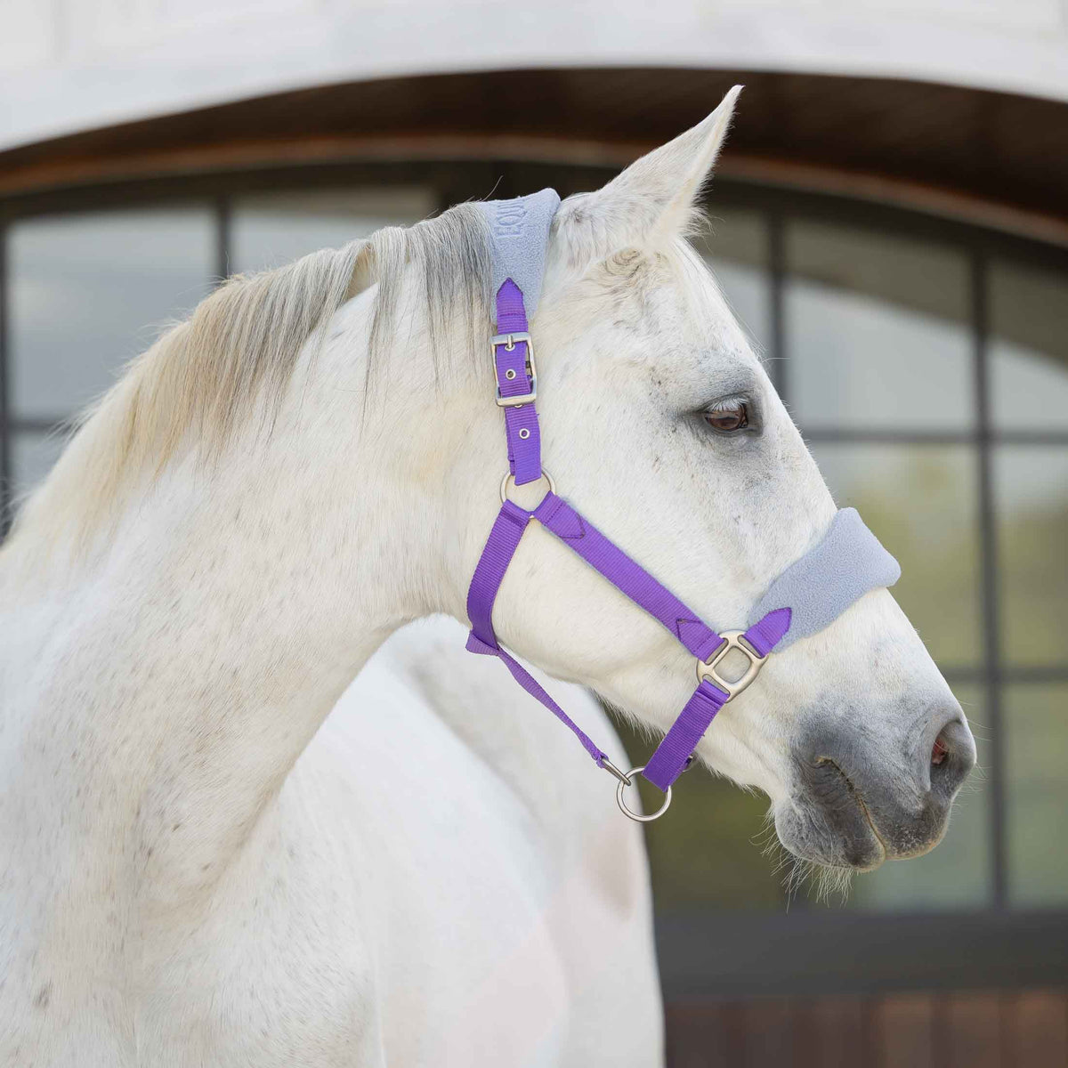 Equinavia Saga Fleece Padded Breakaway Halter image #3