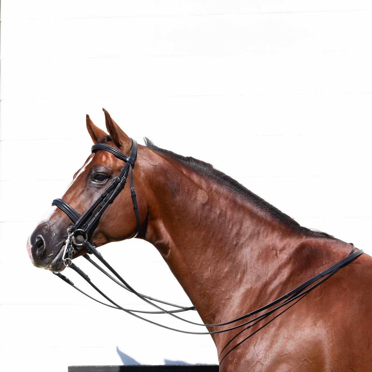Equinavia Saga Double Bridle w/ Reins image #4