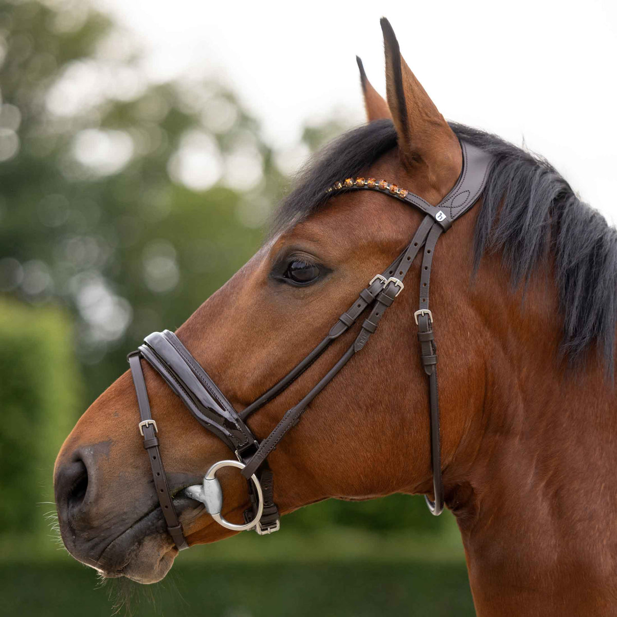 Horze Clermont Ergonomic Crystal Bridle image #5