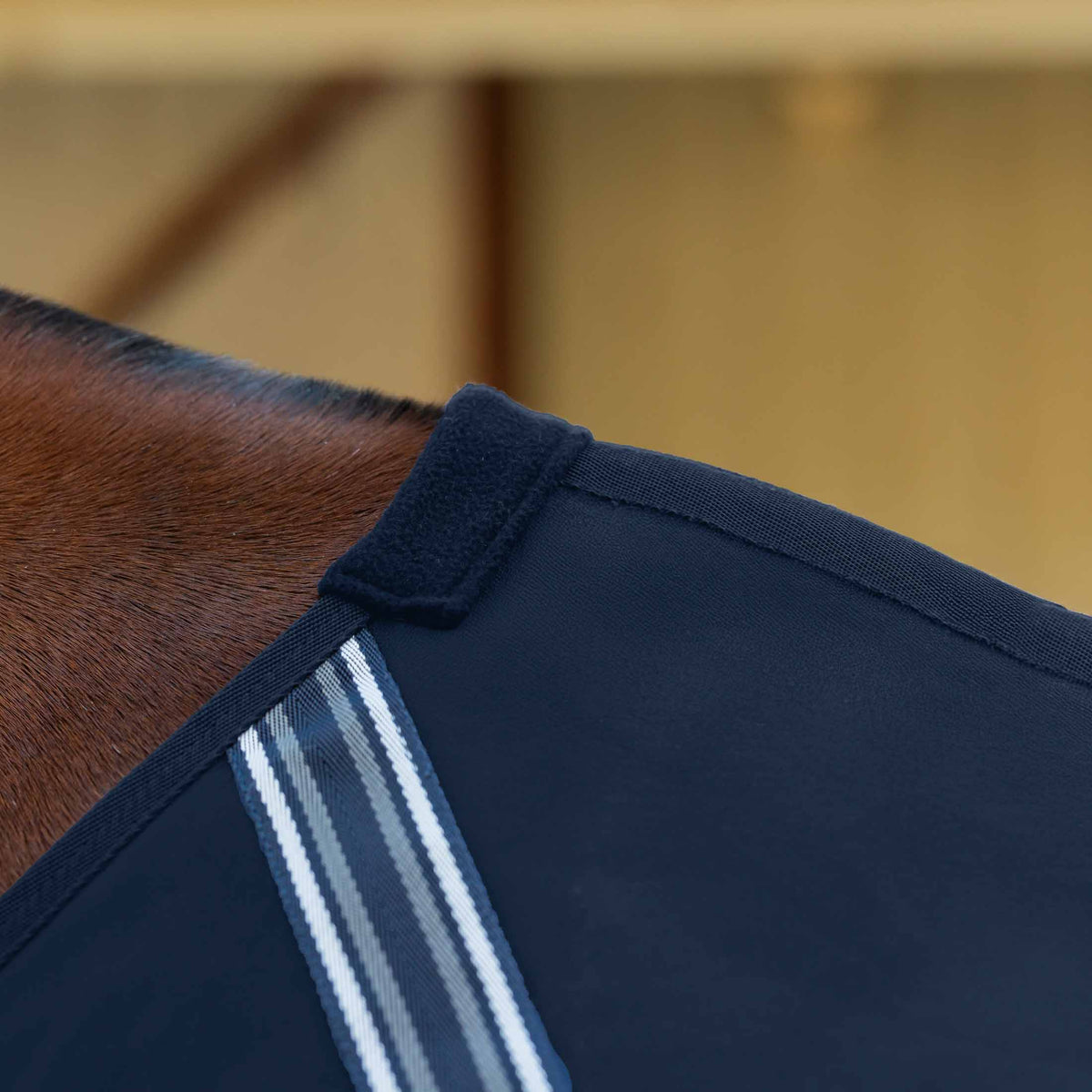Equinavia Fryd Cotton Stable Sheet image #3