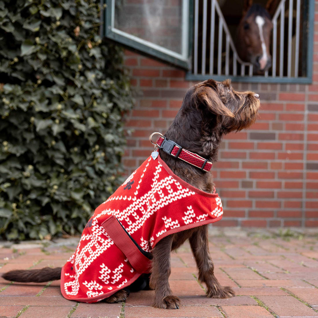 Horze Santa Dog Fleece Coat image #3
