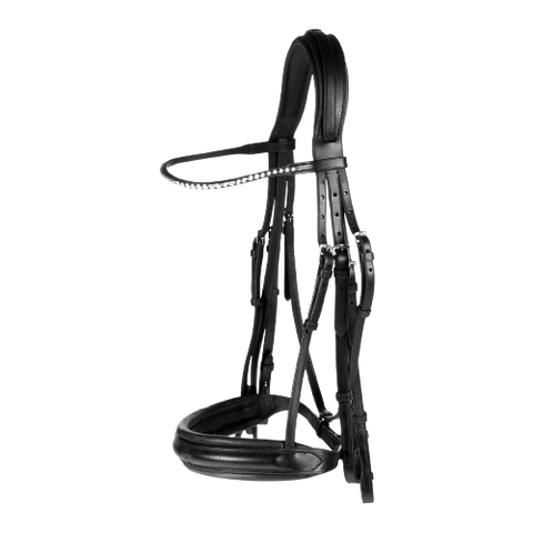 Bridle