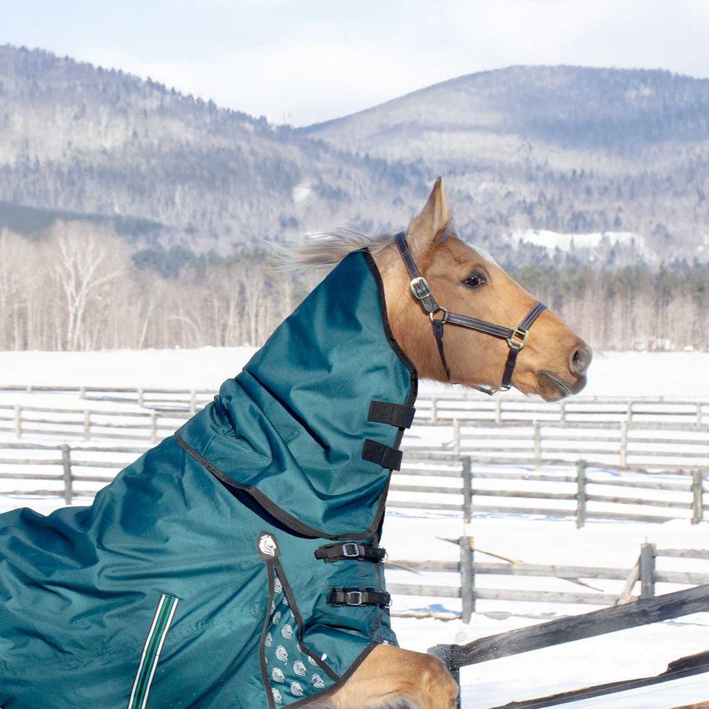 Equinavia Arktis Turnout Neck Cover 200g image #4