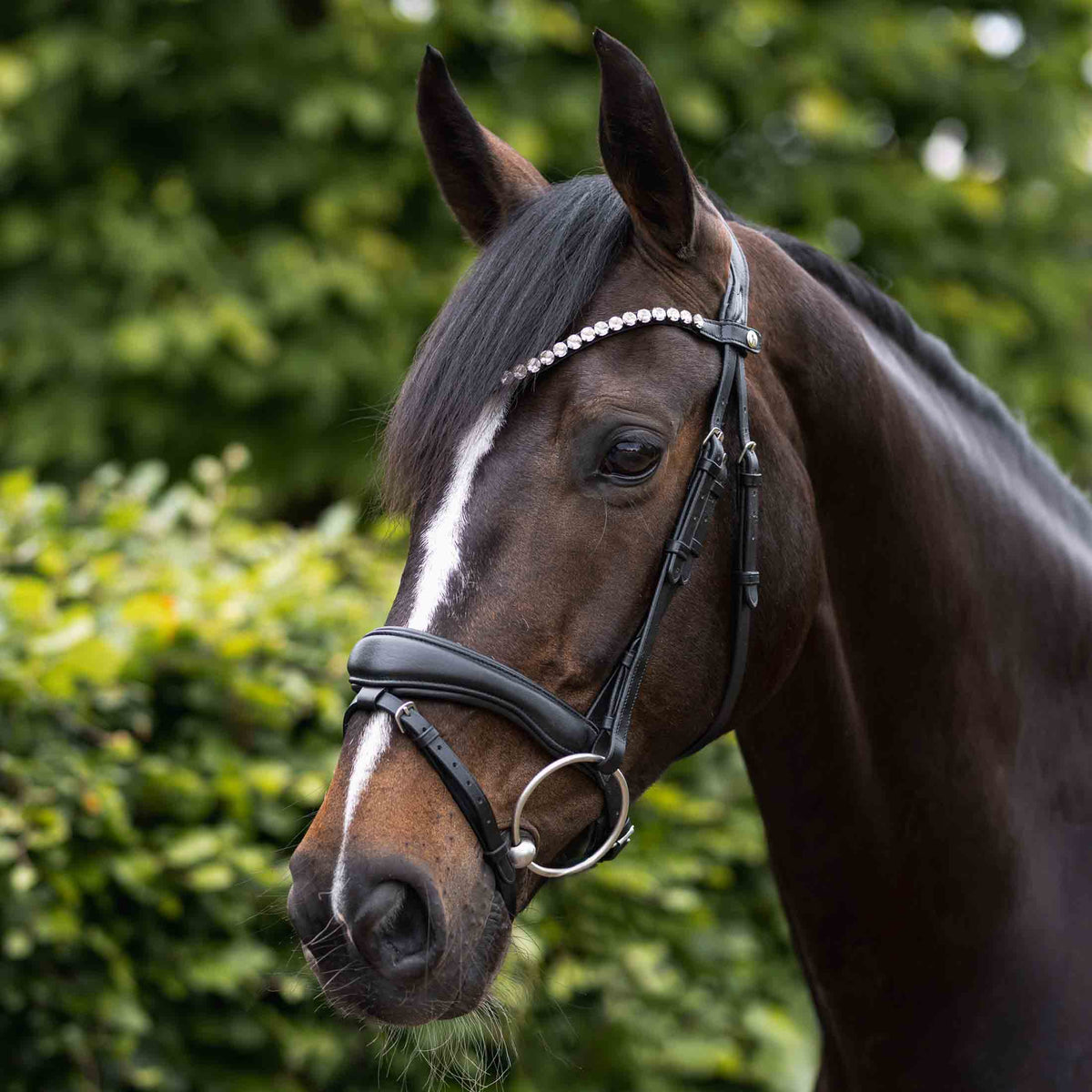 Horze Somerset Fancy Show Bridle image #3