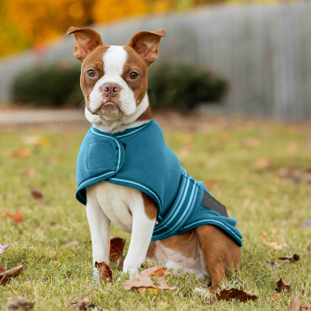Equinavia Norse Fleece Dog Coat image #2