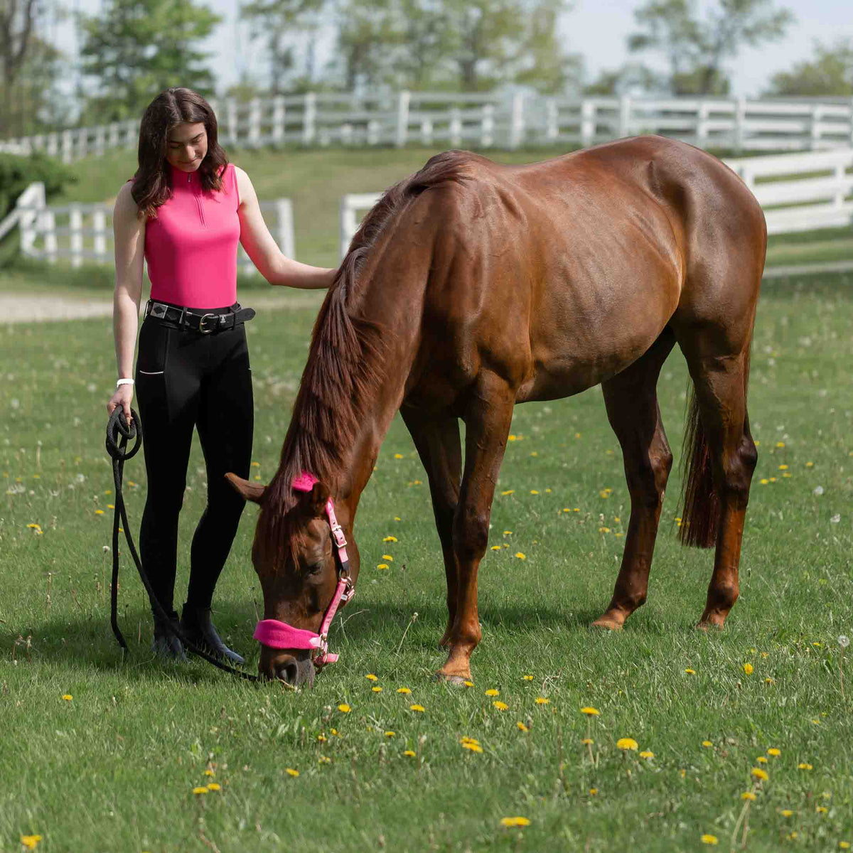 Equinavia Saga Fleece Padded Breakaway Halter image #5