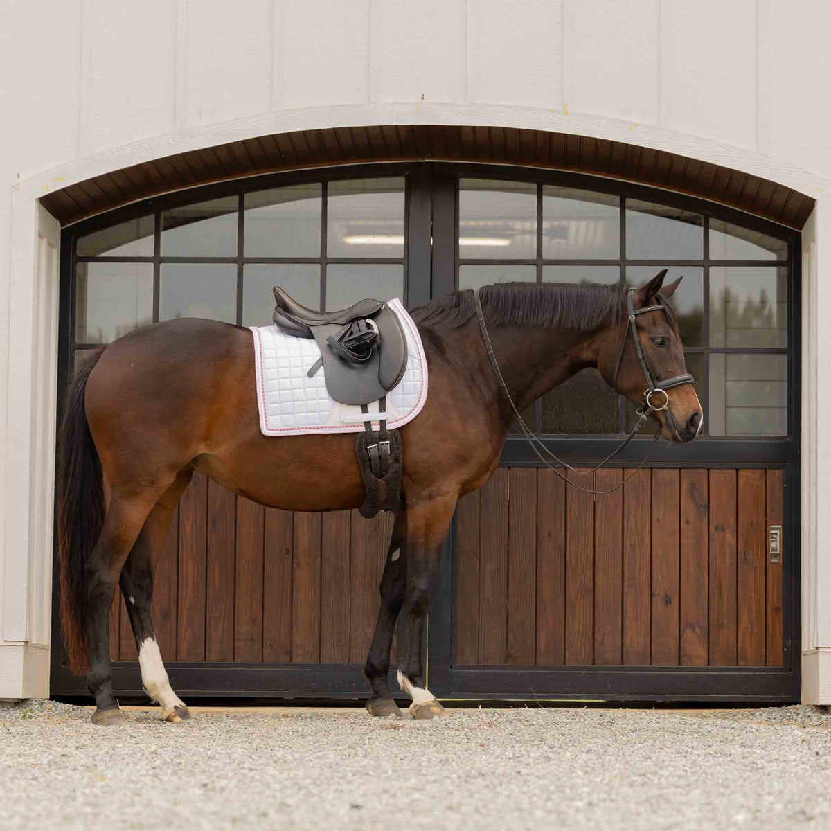 Equinavia Copenhagen Stay Put Dressage Saddle Pad image #6