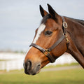 Equinavia Valkyrie Classic Leather Halter image #1