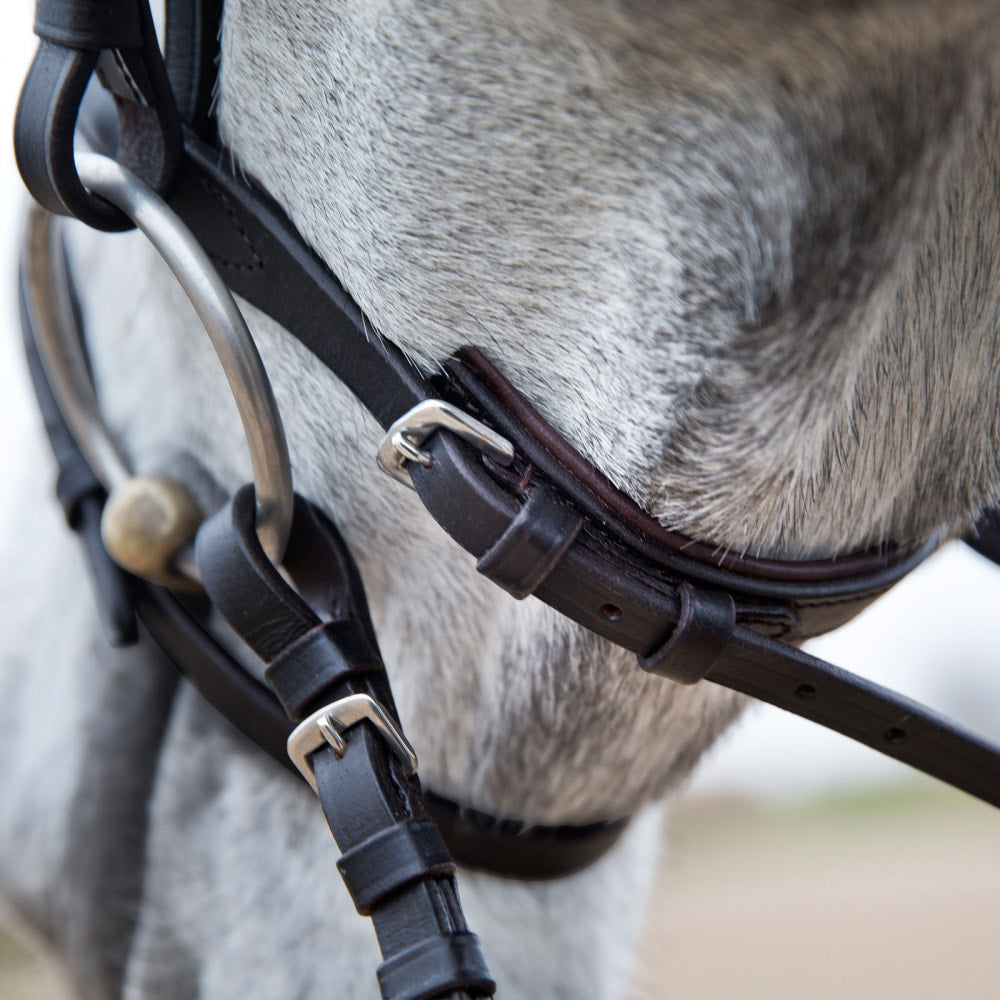Horze Weston Flash Bridle w/ Reins image #5
