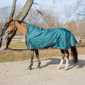 Equinavia Arktis Extended Neck Mid Weight Turnout Blanket 200g image #1