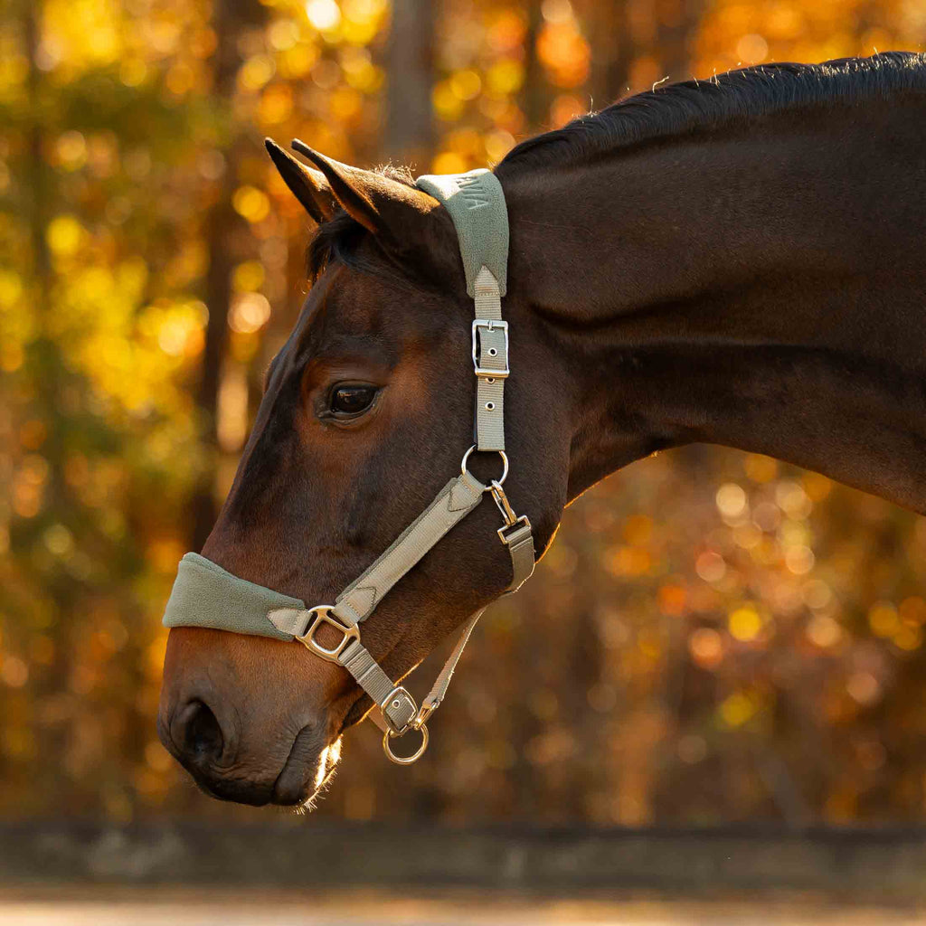 Equinavia Saga Fleece Padded Breakaway Halter image #1
