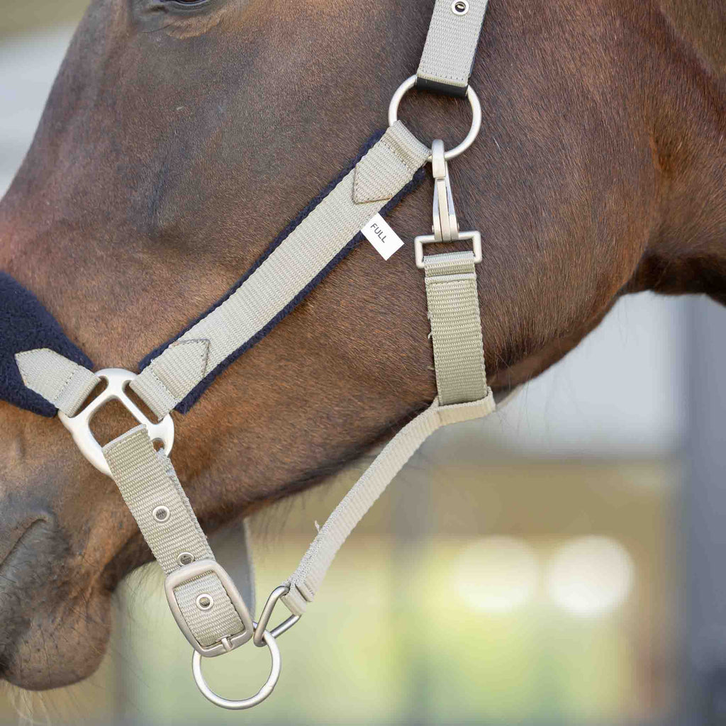 Equinavia Saga Fleece Padded Breakaway Halter image #3