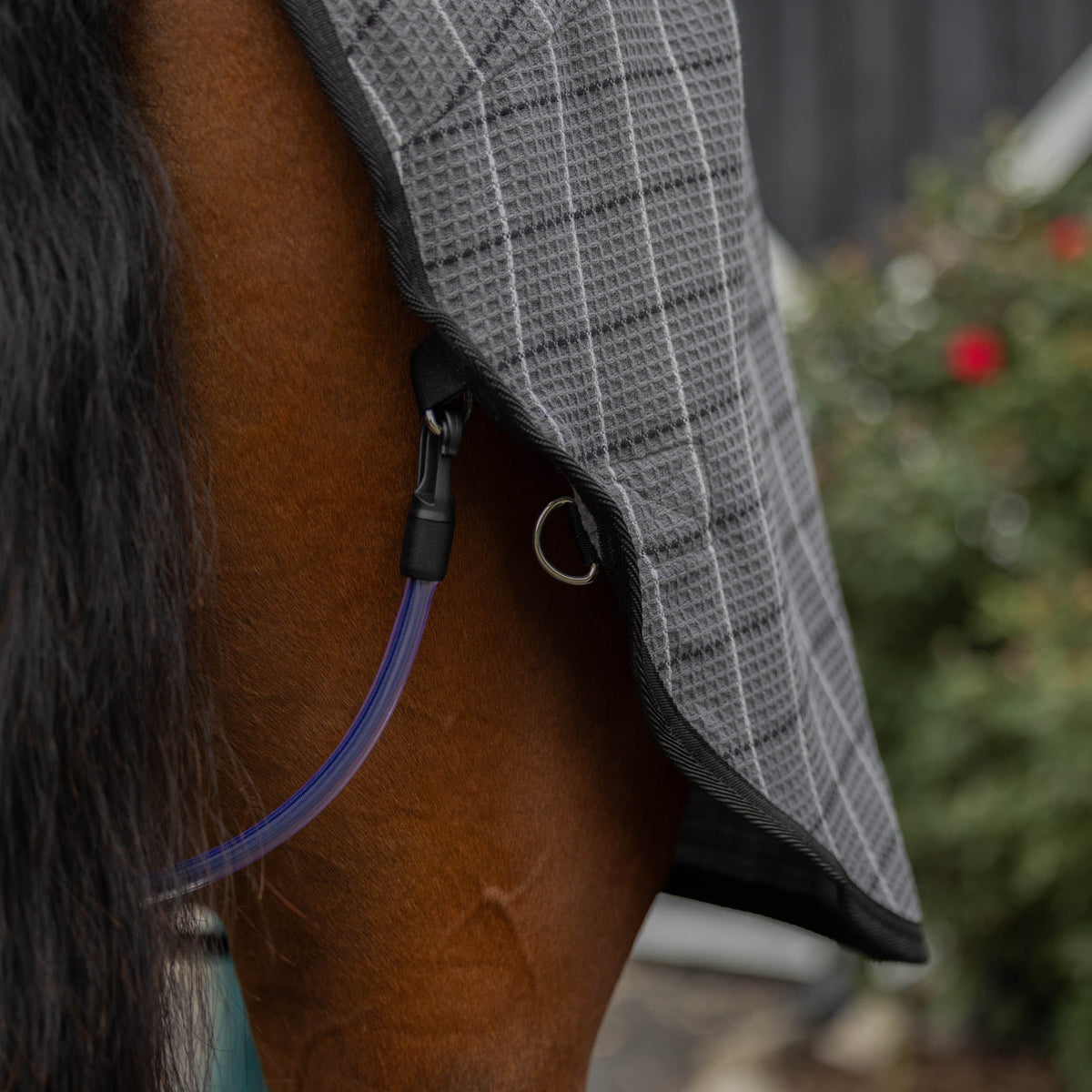 Equinavia Luftig Waffle Cooler image #6