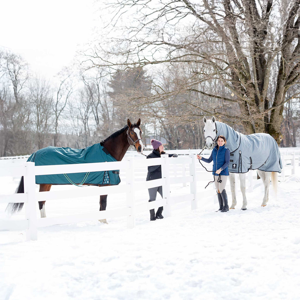 Equinavia Arktis Regular Neck Mid Weight Turnout Blanket 200g image #8