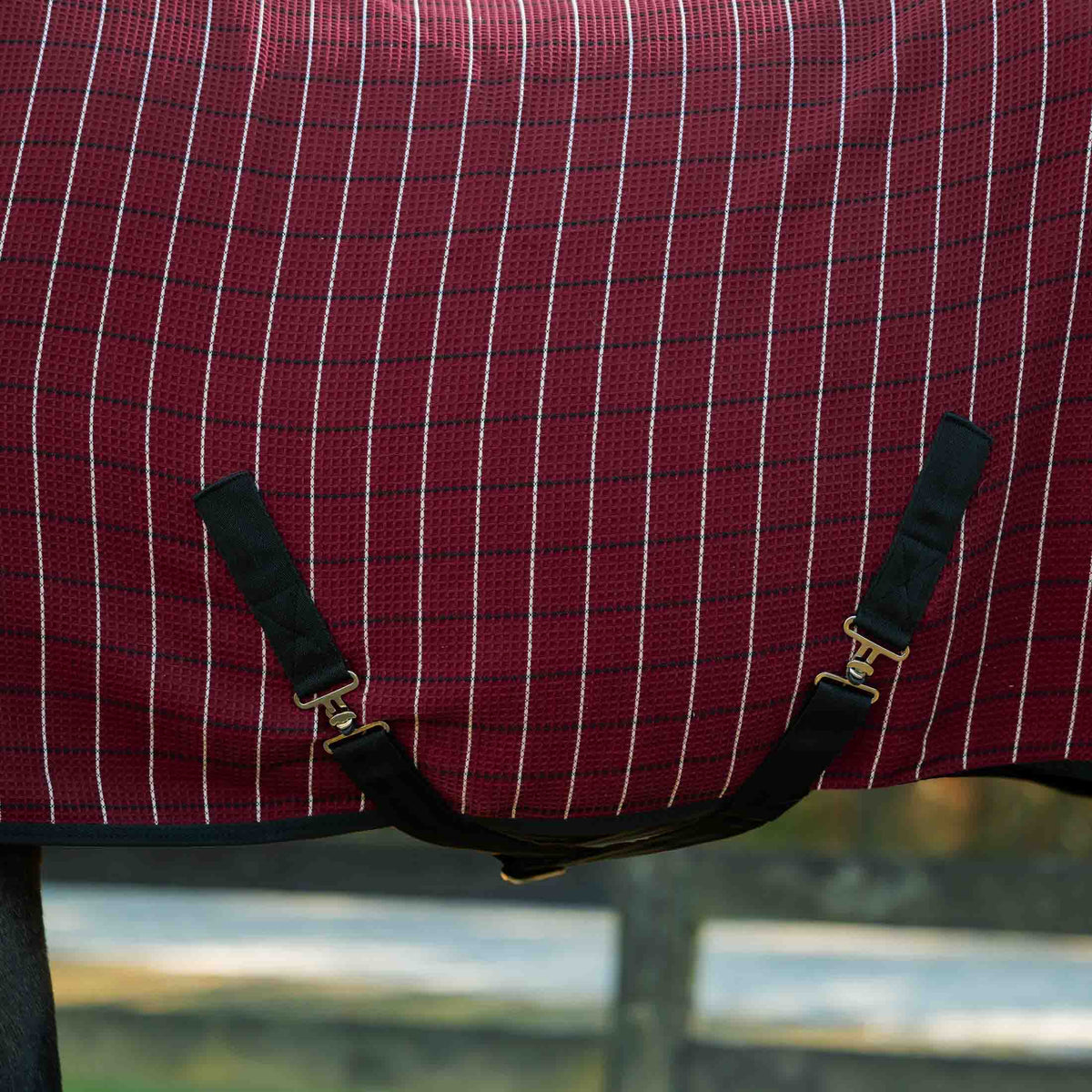 Equinavia Luftig Waffle Cooler image #3