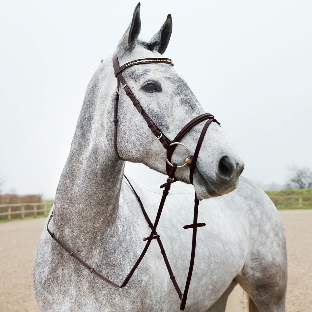 Horze Weston Flash Bridle w/ Reins image #2