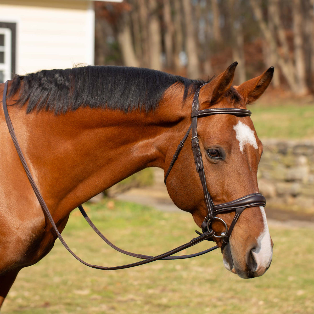 Equinavia Valkyrie Alternative Flash Bridle with Rubber Reins image #2