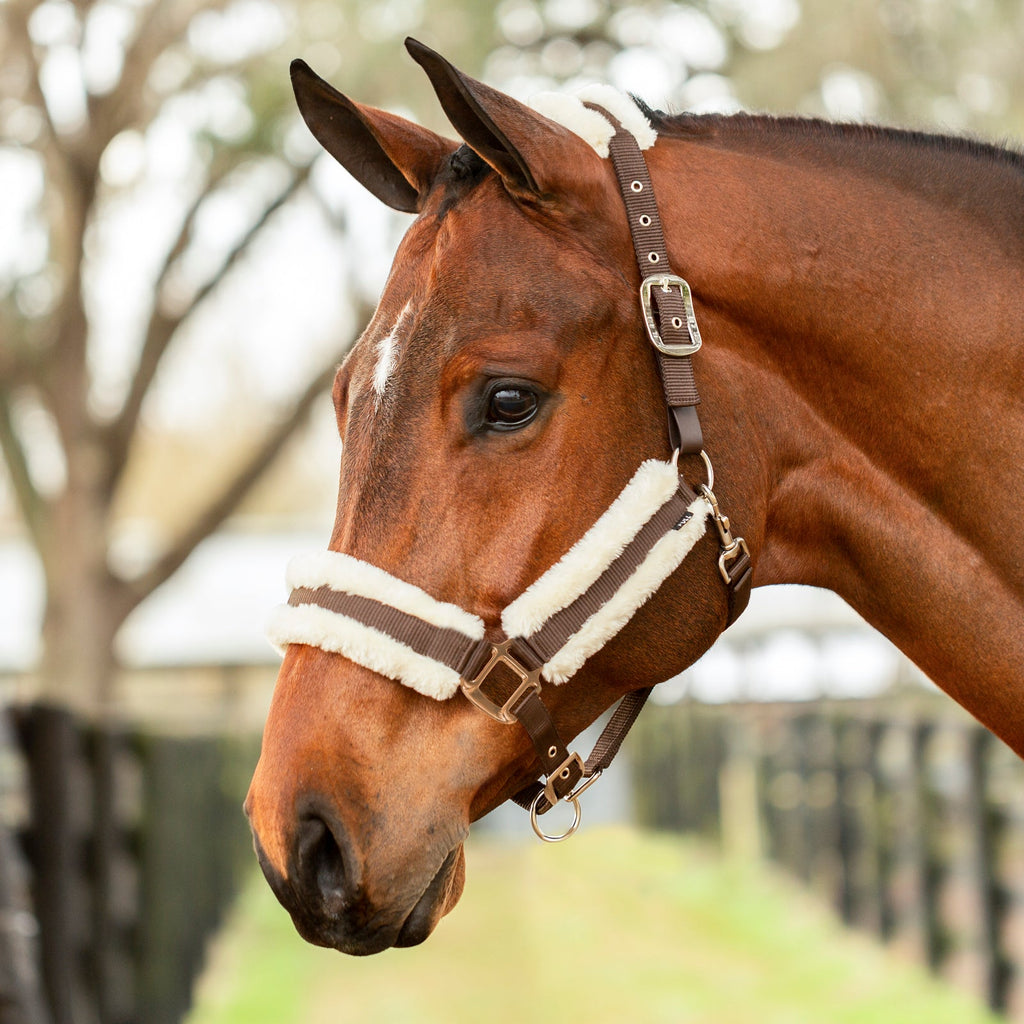 Equinavia Valkyrie Ultra Fleece Breakaway Halter image #3