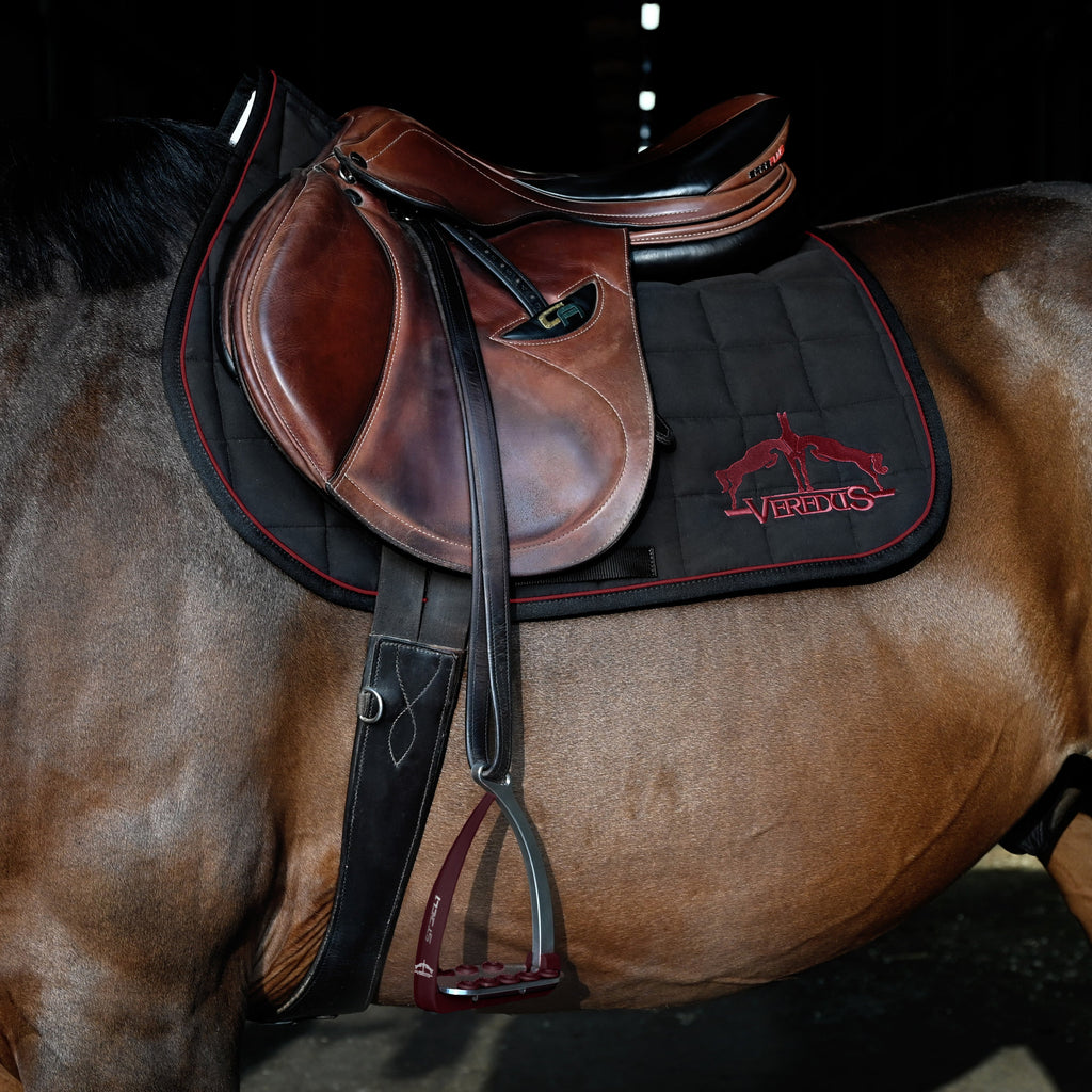 Veredus Vita Stirrup Steel1 image #16
