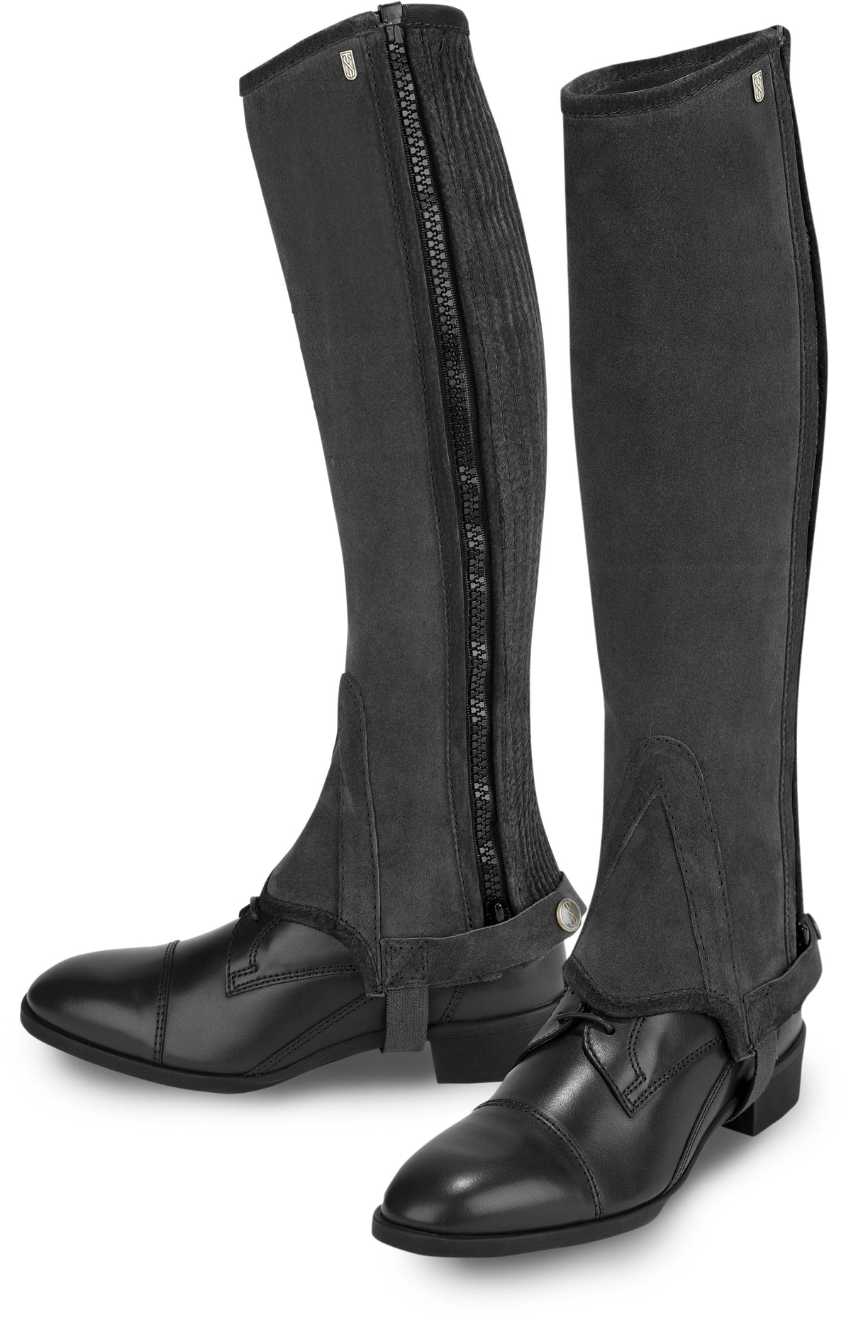 Tredstep Ireland Original Half Chaps image #2