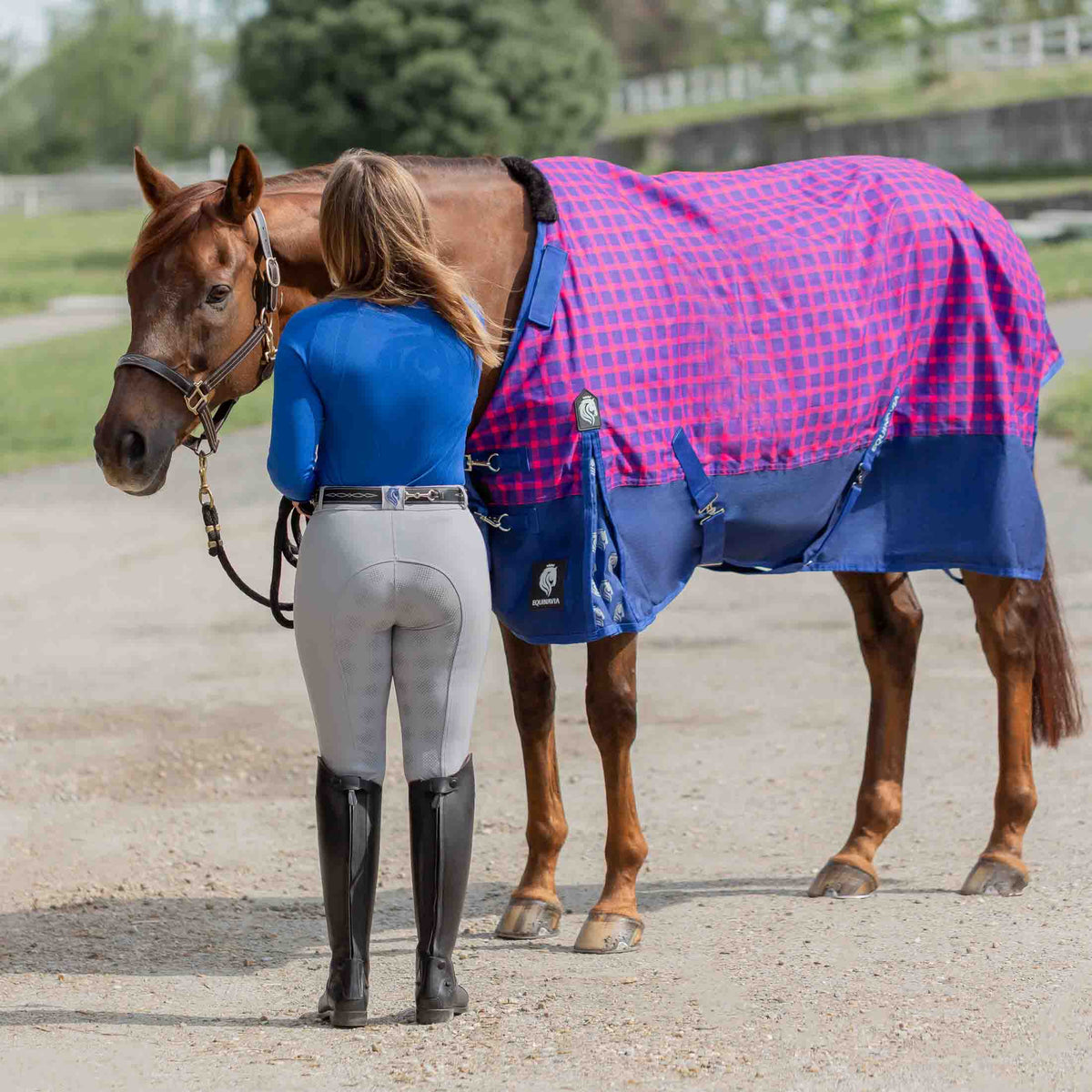 Equinavia Norse Fleece Lined Turnout Blanket image #2