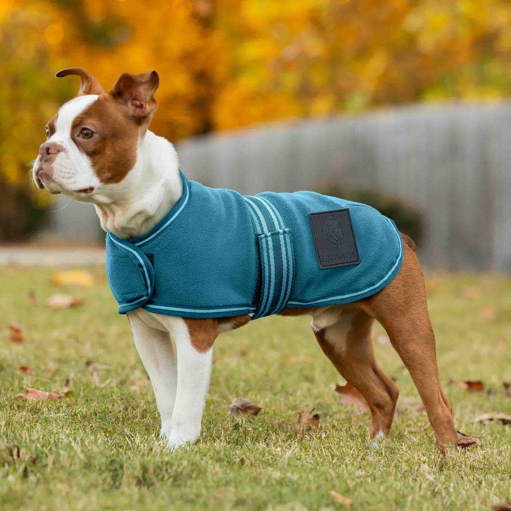 Equinavia Norse Fleece Dog Coat image #3