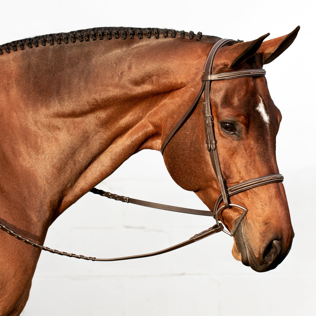 Equinavia Saga Fancy Stitched Hunter Bridle & Reins image #2