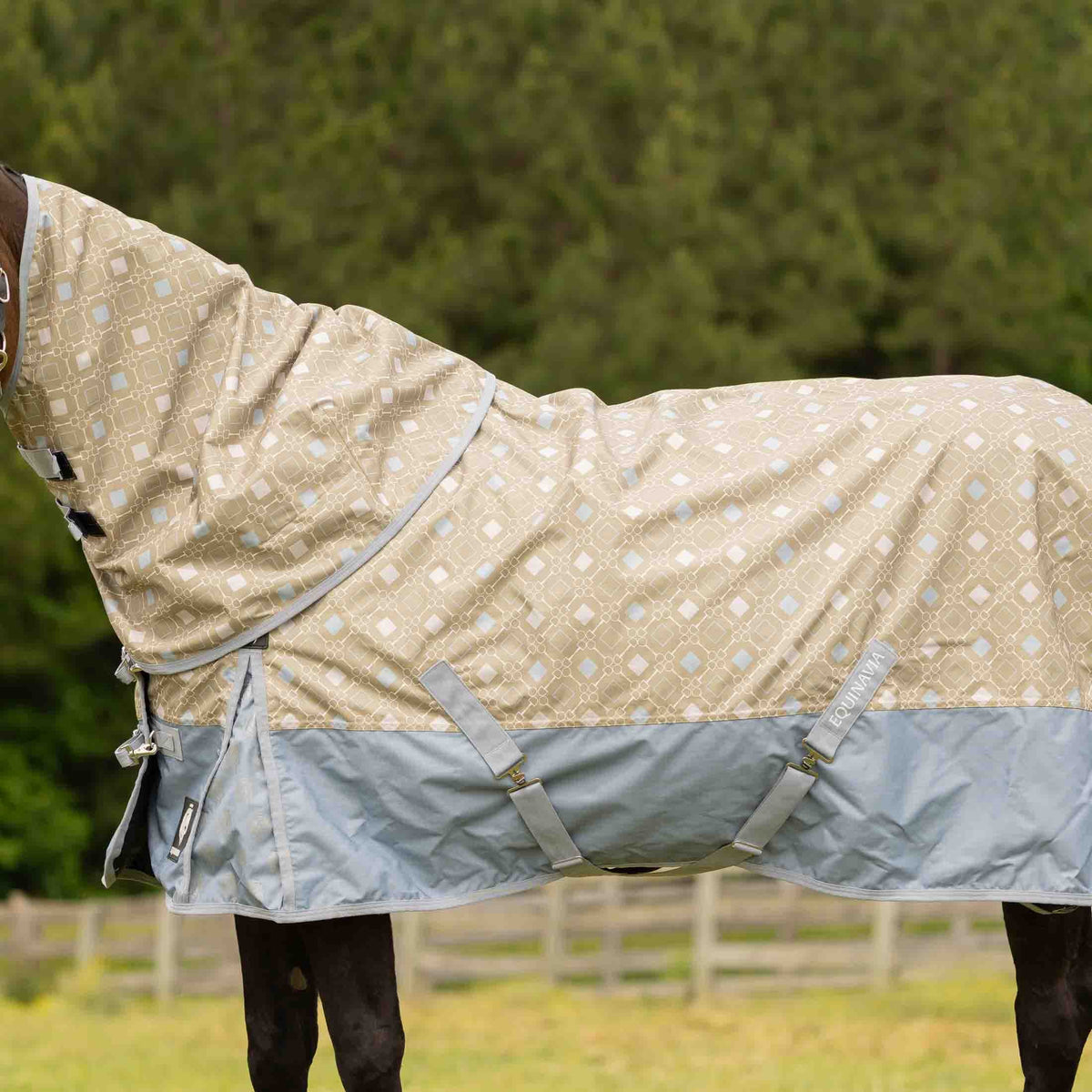 Equinavia Norse Turnout Sheet image #5