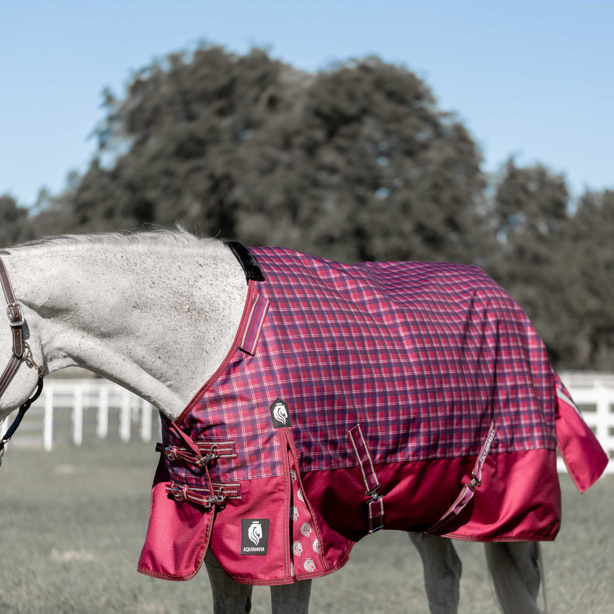Equinavia Arktis Regular Neck Turnout Sheet image #2