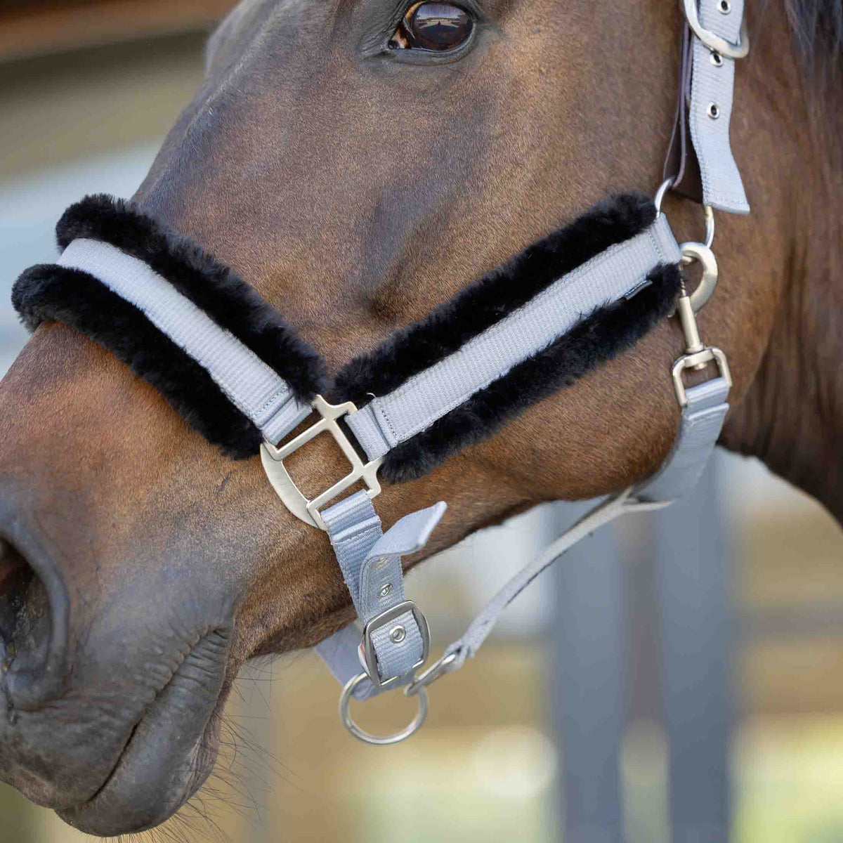 Equinavia Valkyrie Ultra Fleece Breakaway Halter image #2