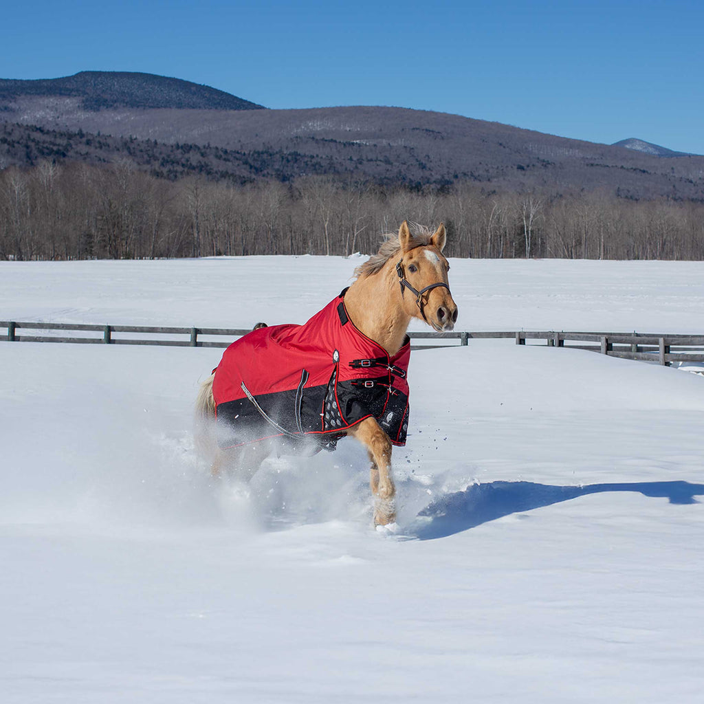 Equinavia Norse Mid Weight Turnout Blanket 200g image #3