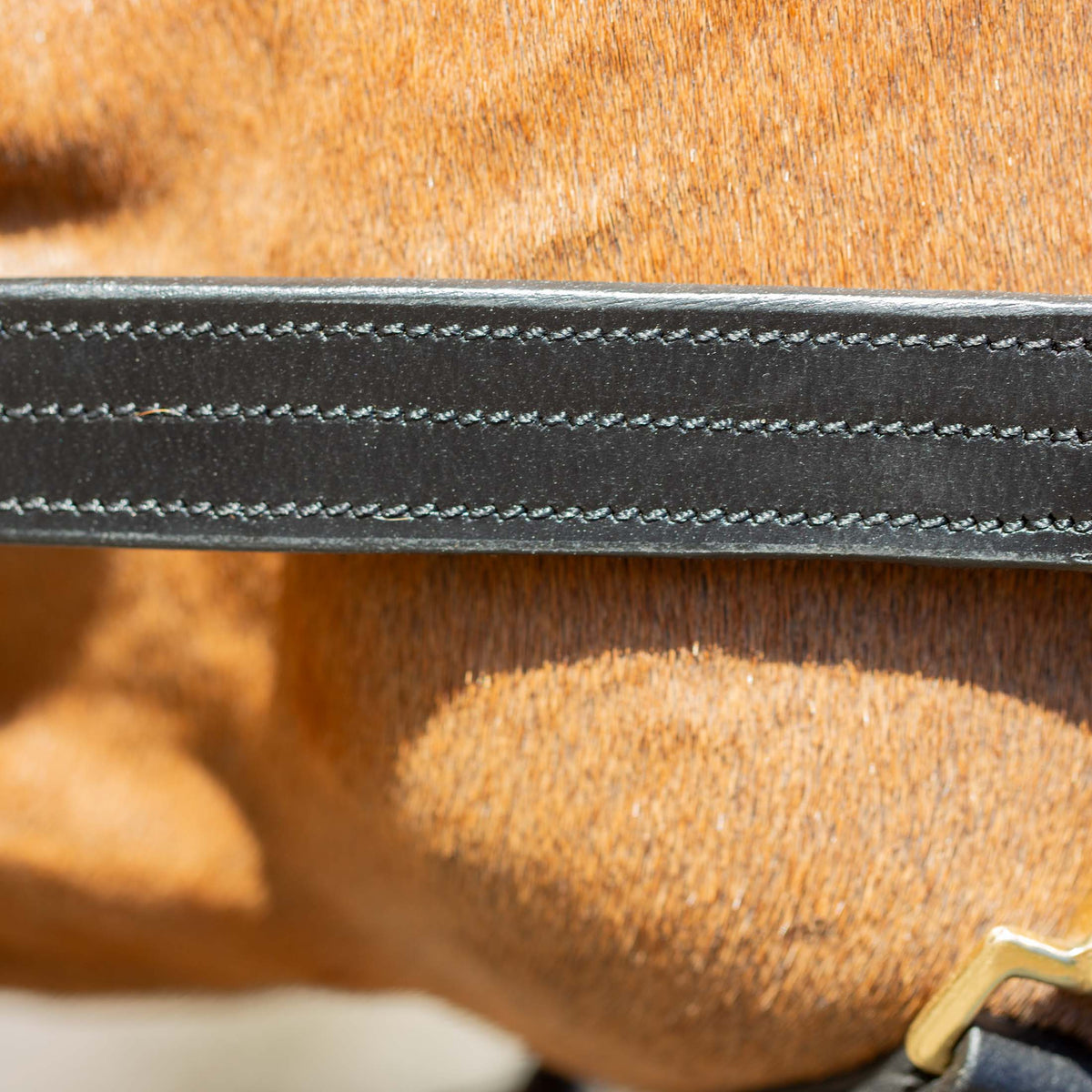 Equinavia Valkyrie Classic Leather Halter image #5