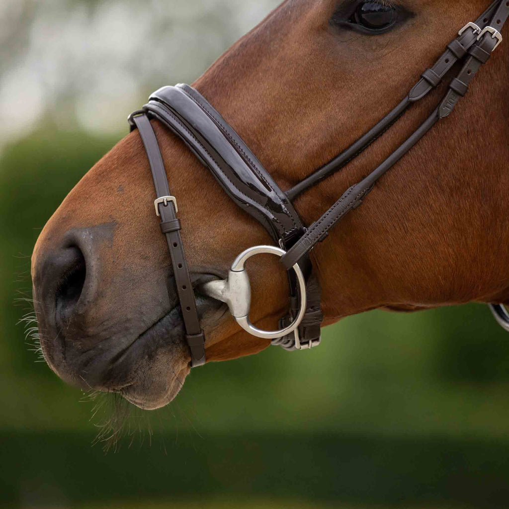 Horze Clermont Ergonomic Crystal Bridle image #6