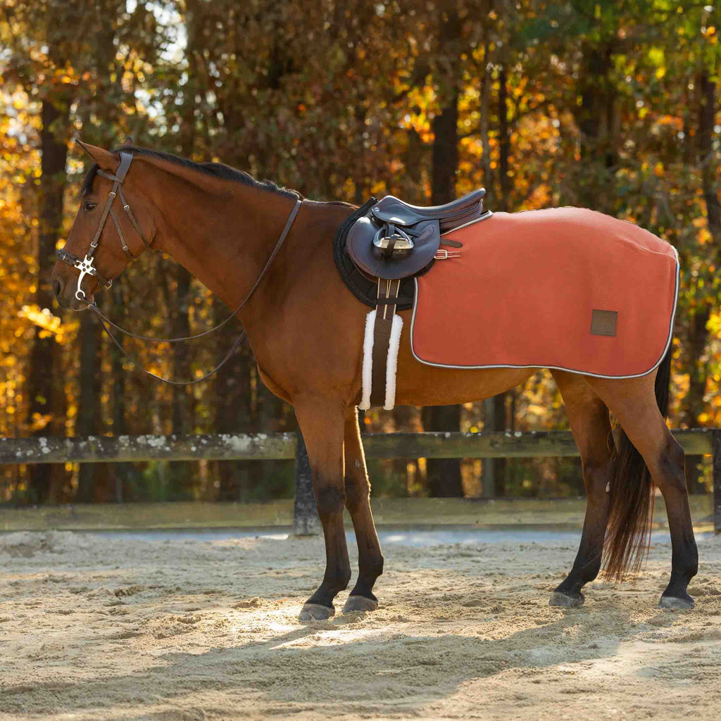 Equinavia Norse Fleece Exercise Quarter Sheet image #1