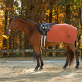 Equinavia Norse Fleece Exercise Quarter Sheet image #1