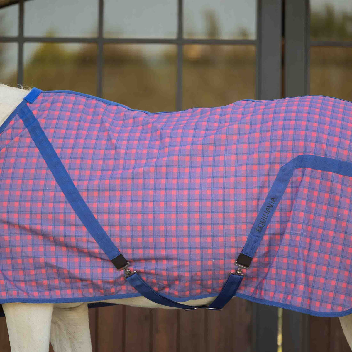 Equinavia Fryd Cotton Stable Sheet image #7