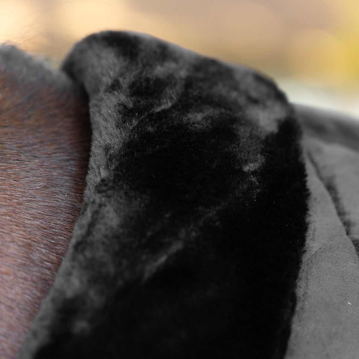 Equinavia Luksus Premium Cooler image #5