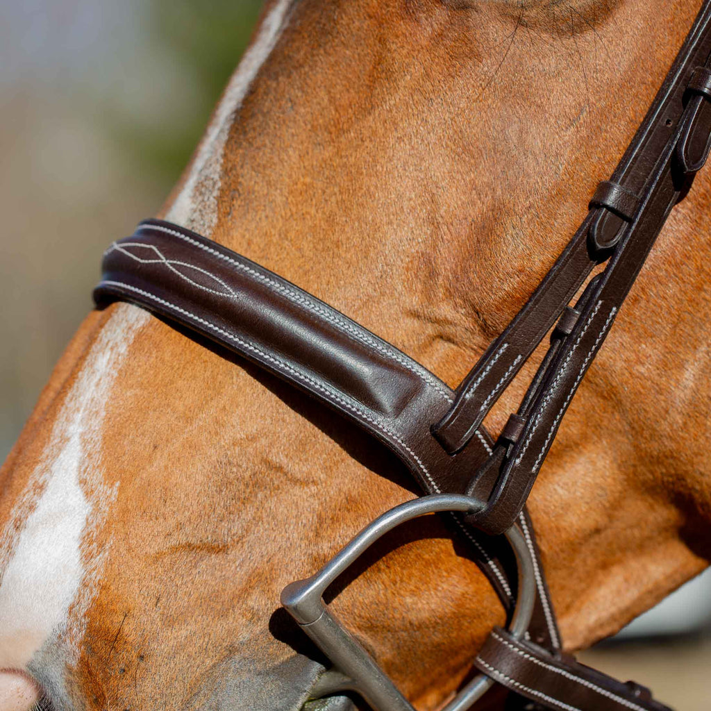 Equinavia Valkyrie Classic Wide Noseband Hunter Bridle with Reins image #4