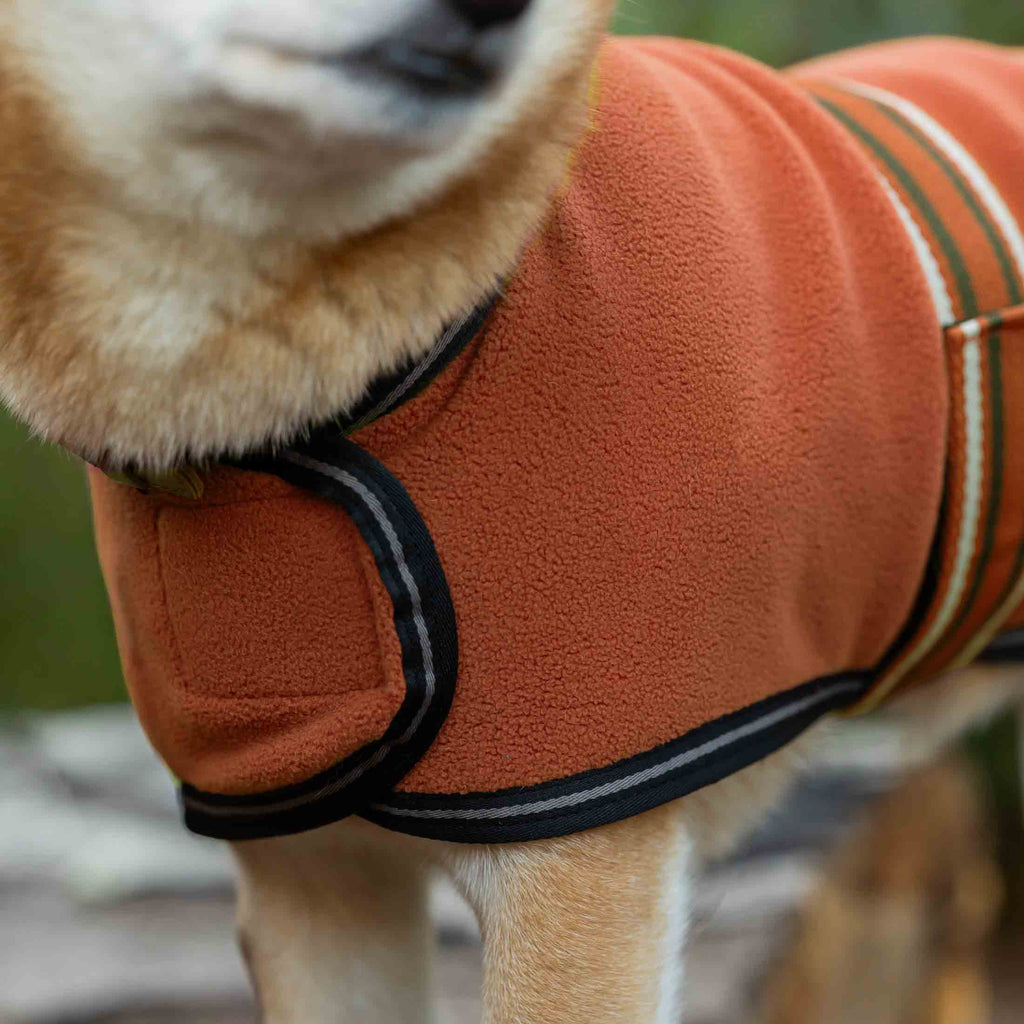 Equinavia Norse Fleece Dog Coat image #5