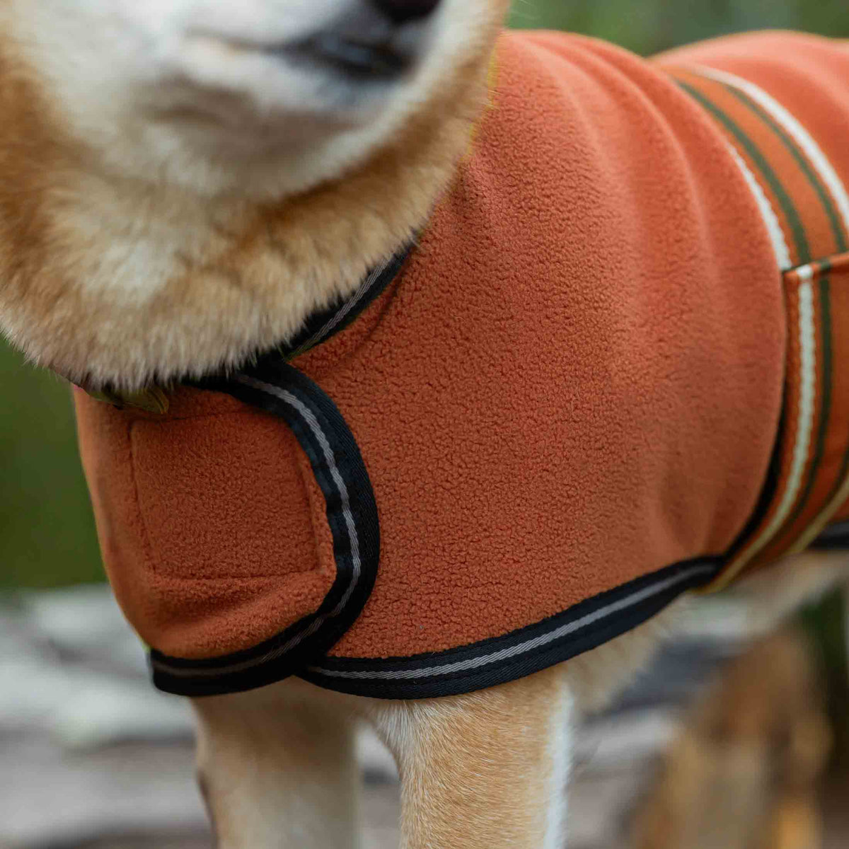 Equinavia Norse Fleece Dog Coat image #5