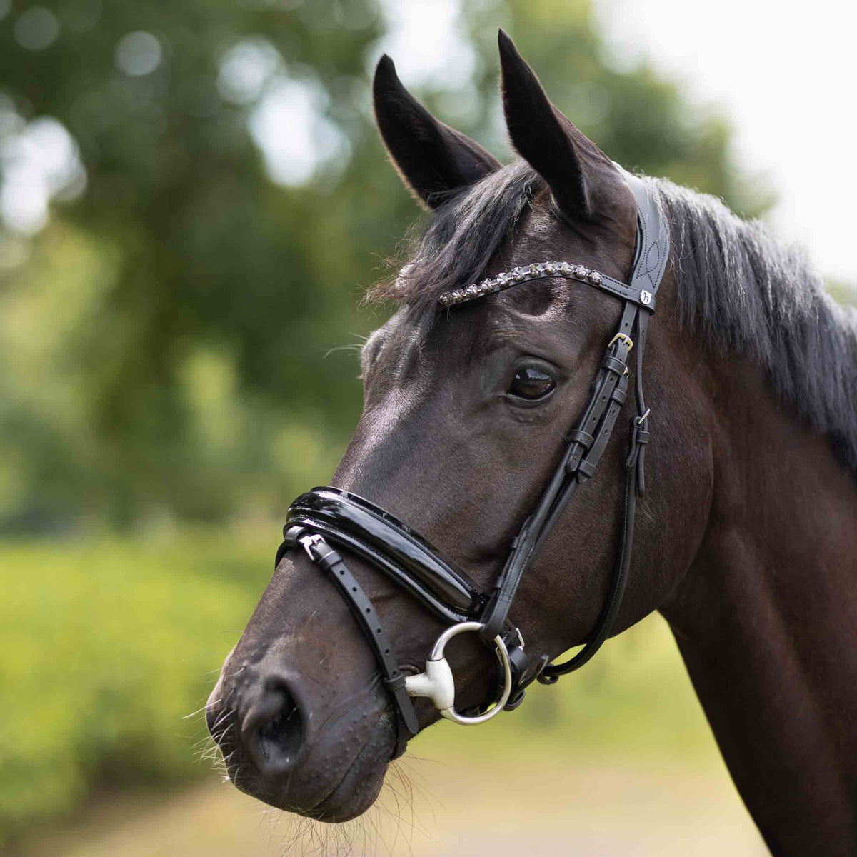 Horze Clermont Ergonomic Crystal Bridle image #3