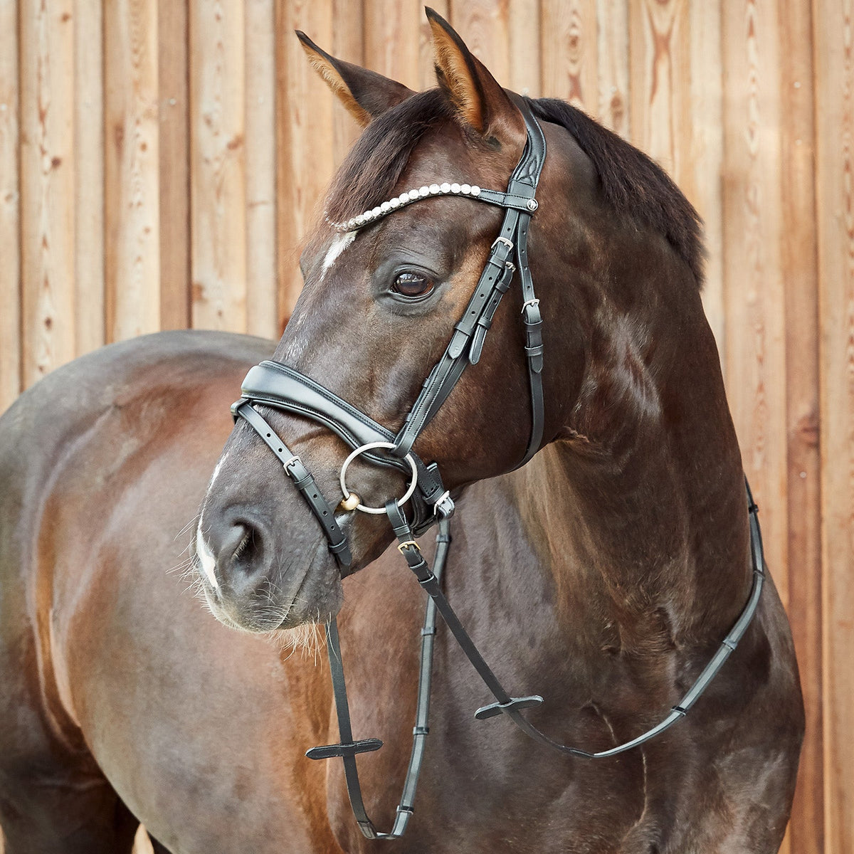 Horze Somerset Fancy Show Bridle image #2