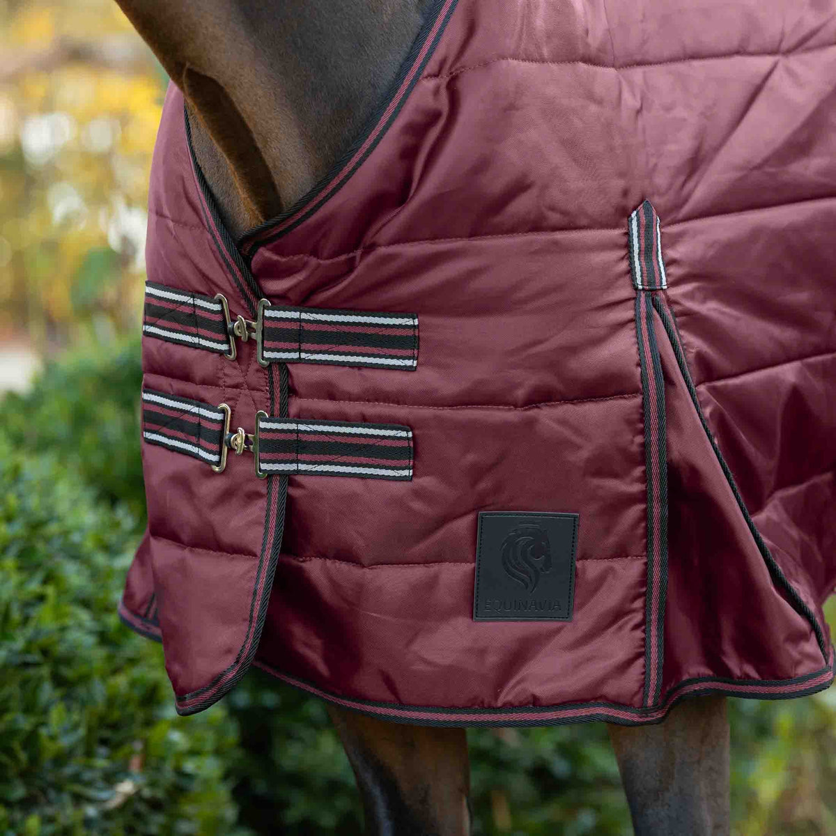 Equinavia Norse Gusseted Stable Blanket 100g image #3