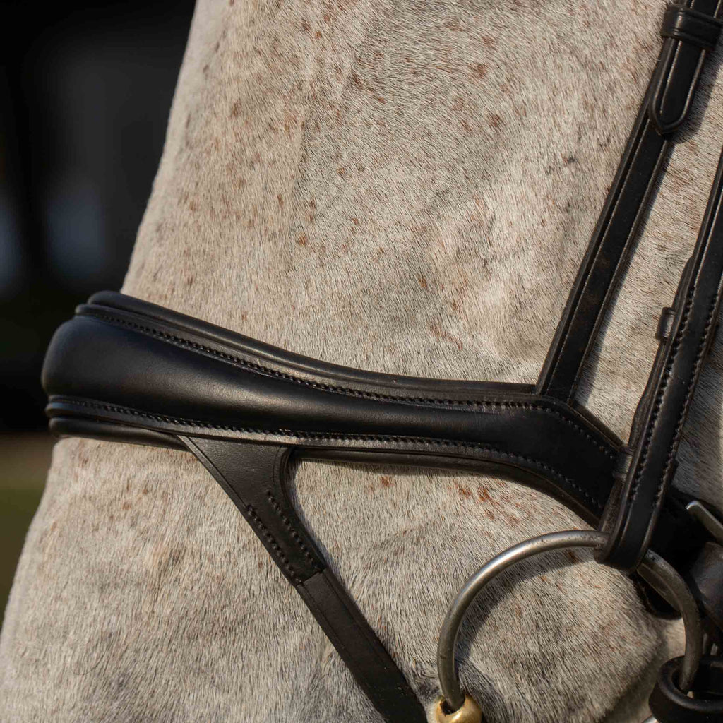 Equinavia Valkyrie Alternative Flash Bridle with Rubber Reins image #3