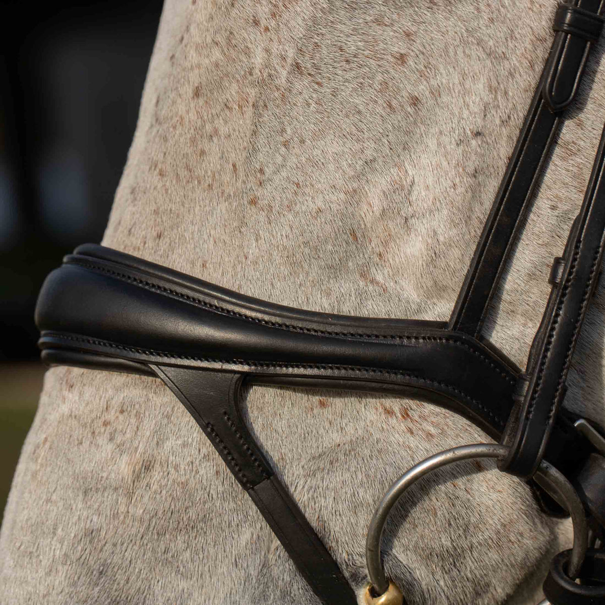 Equinavia Valkyrie Alternative Flash Bridle with Rubber Reins image #3