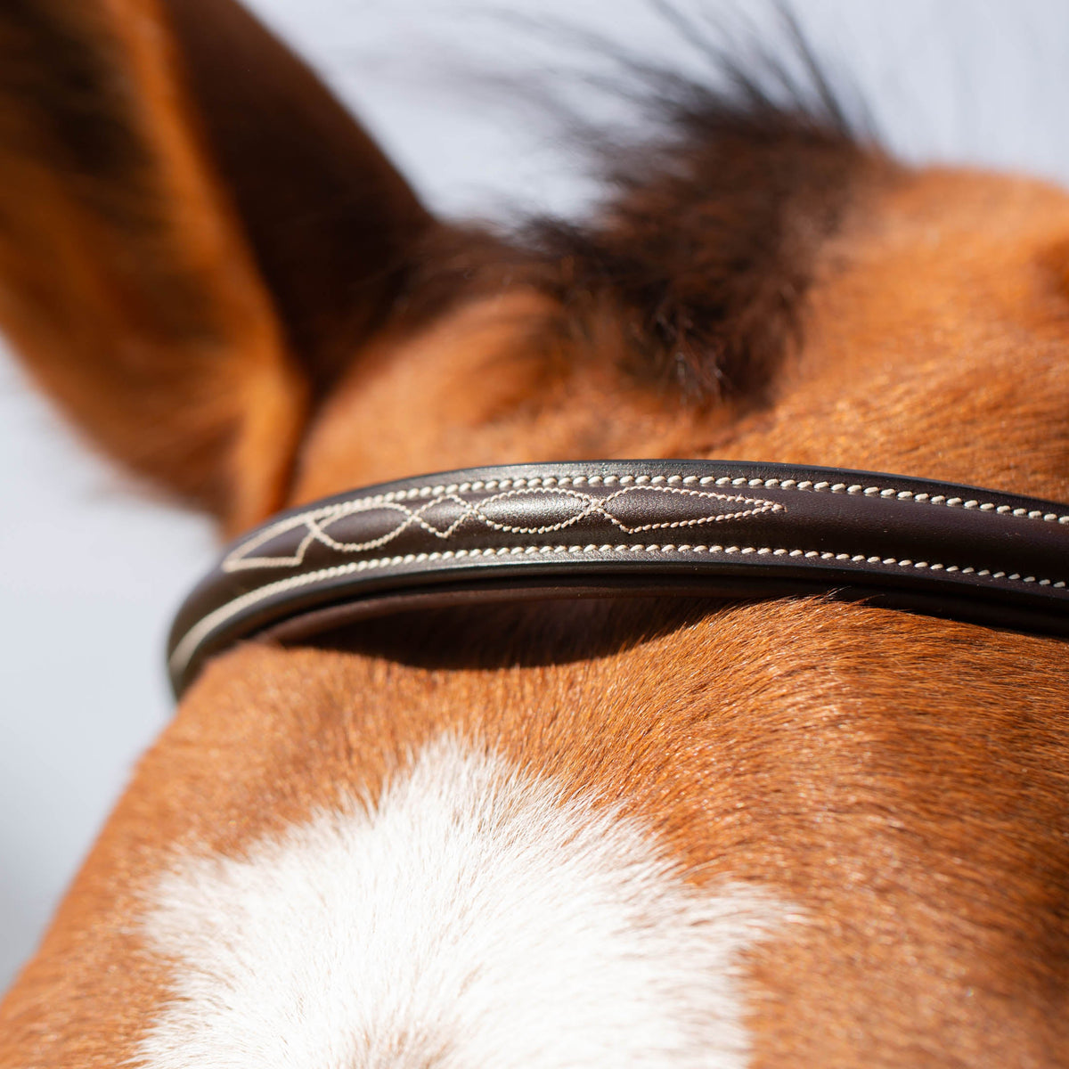 Equinavia Valkyrie Anatomic Jumper Bridle with Rubber Reins image #3